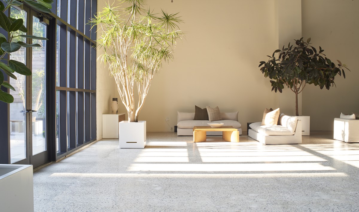 Shell's Loft